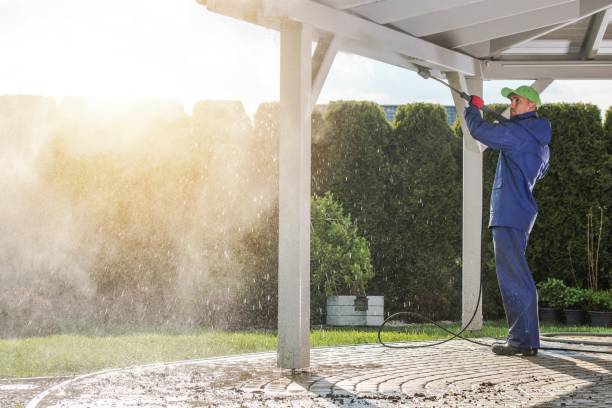 Best Roof Washing  in Hoover, AL